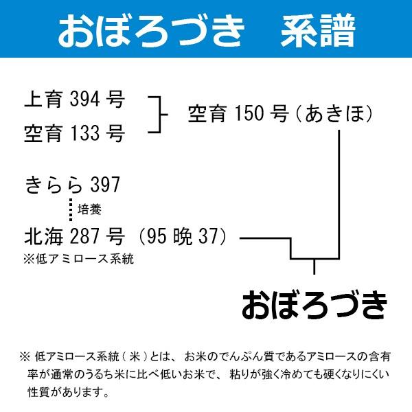 ミルキークイーン 北海道産 おぼろづき 5kg お米 令和7年産 送料無料