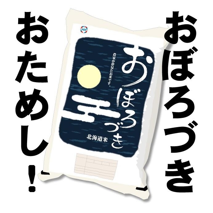 令和5年産　おぼろづき 精米　お試しパック　メール便　送料無料　北海道産　450g (3合)　ポイント消化 ポイント消費｜hokubei-shop