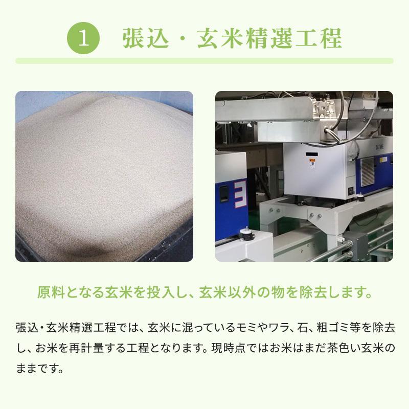 ゆめぴりか 【新米】厳撰ゆめぴりか 5kg 北海道産 白米 令和8年産 お米