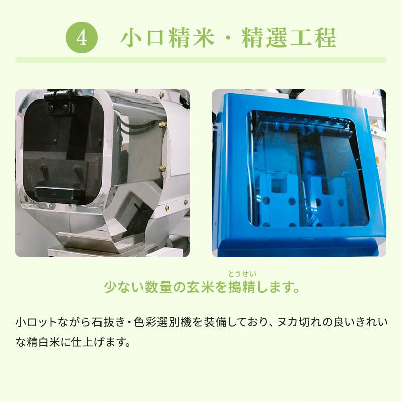 北海道産 厳撰ゆめぴりか 10kg（5ｋｇ×2袋）セール お得 特A 令和５年産 真空パック対応 お米　米10kg　お米 10kg 白米 送料無料　米 10kg　白米 10kg｜hokubei-shop｜09