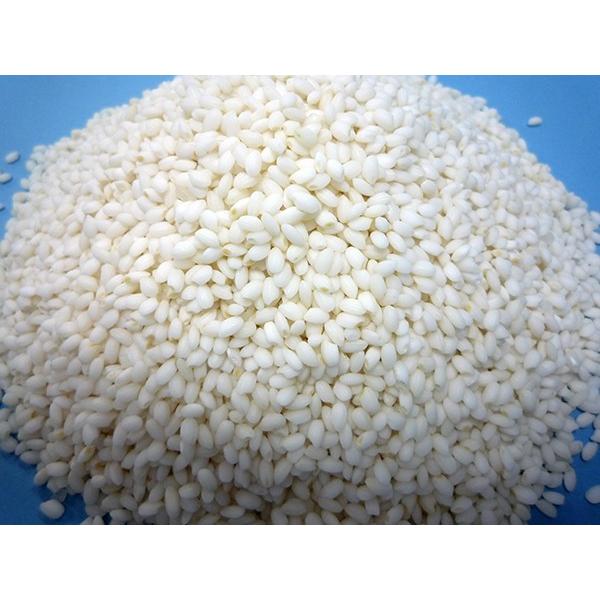 きたゆきもち 1kg 令和7年産 北海道産 もち米 レターパックプラス便