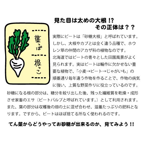 スズラン印　ビート上白糖　てん菜糖　1Kg×10　日本甜菜製糖　ニッテン｜hokubei-shop｜05