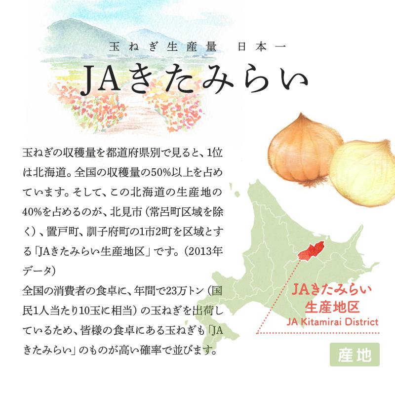 芳醇 玉葱醤油　200ml PET　JAきたみらい　きたみらい玉葱使用｜hokubei-shop｜03