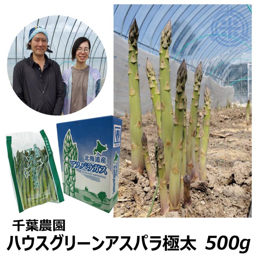千葉農園のハウス グリーンアスパラ 極太500g 北海道富良野産 クール便