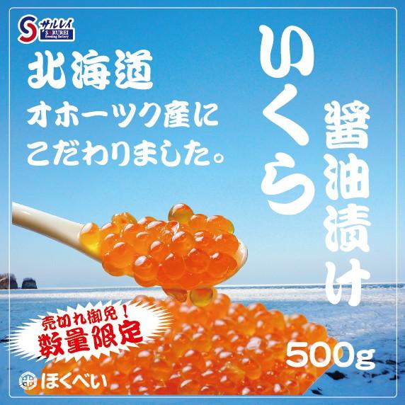 北海道 オホーツク産 いくら 醤油漬け 500g（250g×2P）沙留漁協