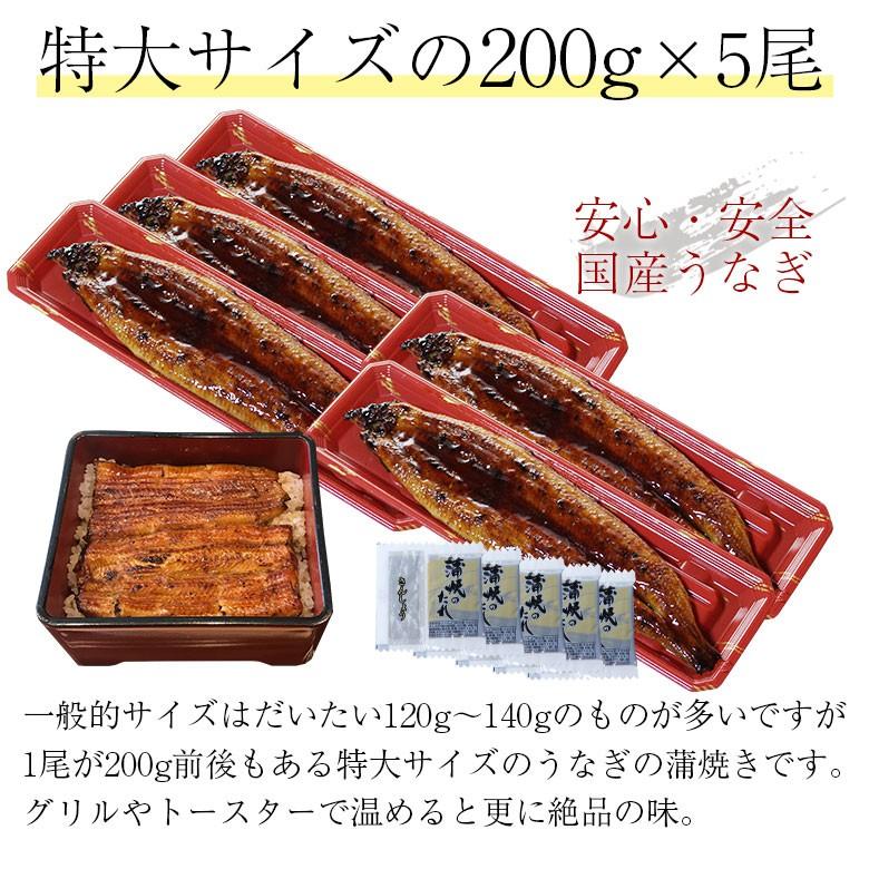 国産 うなぎ 蒲焼き 鰻 うなぎ蒲焼き 送料無料 特大 200g 5尾 セット 国産うなぎ ウナギ 蒲焼 うなぎ 蒲焼き 国産 産地証明書 付き ギフト :unagi-kaba-5:北部山地食品 - 通販 - Yahoo!ショッピング 国産 うなぎ 蒲焼き 鰻 うなぎ蒲焼き 送料無料 特大 200g 5尾 セット 国産うなぎ ウナギ 蒲焼 うなぎ 蒲焼き 国産 産地証明書 付き ギフト :unagi-kaba-5:北部山地食品 - 通販 - Yahoo!ショッピング