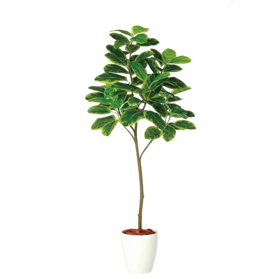 最新情報 アーティシャルフラワー 造花 インテリアグリーン フェイクグリーン 観葉植物 お祝い 贈り物 プレゼント おしゃれ アルテシマｆｓｔ １２０ｃｍ 送料無料 Dt935 ハッピーワン 通販 Yahoo ショッピング 大流行中 Www Maxipiso Com Ar