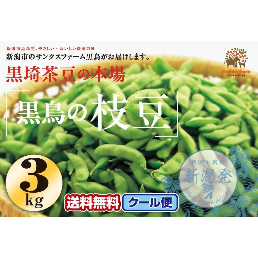 産直 新潟産 黒鳥の枝豆 えだまめ 3kg お中元 贈り物 限定商品 人気 ギフト クール便 送料無料 Www Sunnyfriend Com Tw