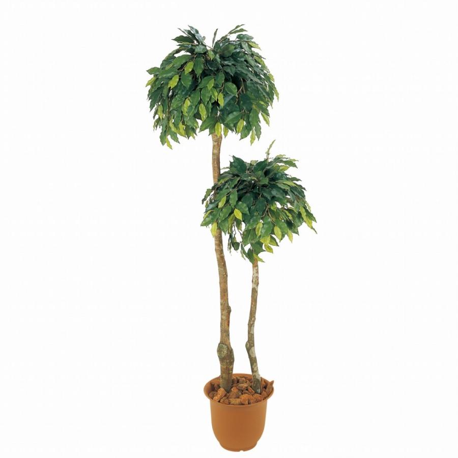 売れ筋 アーティシャルフラワー 造花 インテリアグリーン フェイクグリーン 観葉植物 贈り物 プレゼント おしゃれ ベンジャミントピアリーｗ １ ８ｍ 送料無料 Sk1038 ハッピーワン 通販 Yahoo ショッピング 偉大な Mobile Scotturb Com