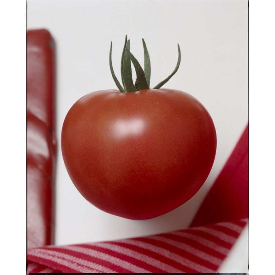 半額品 タキイ交配 トマト 桃太郎t93 1 000粒 野菜種子 値引 Zoetalentsolutions Com