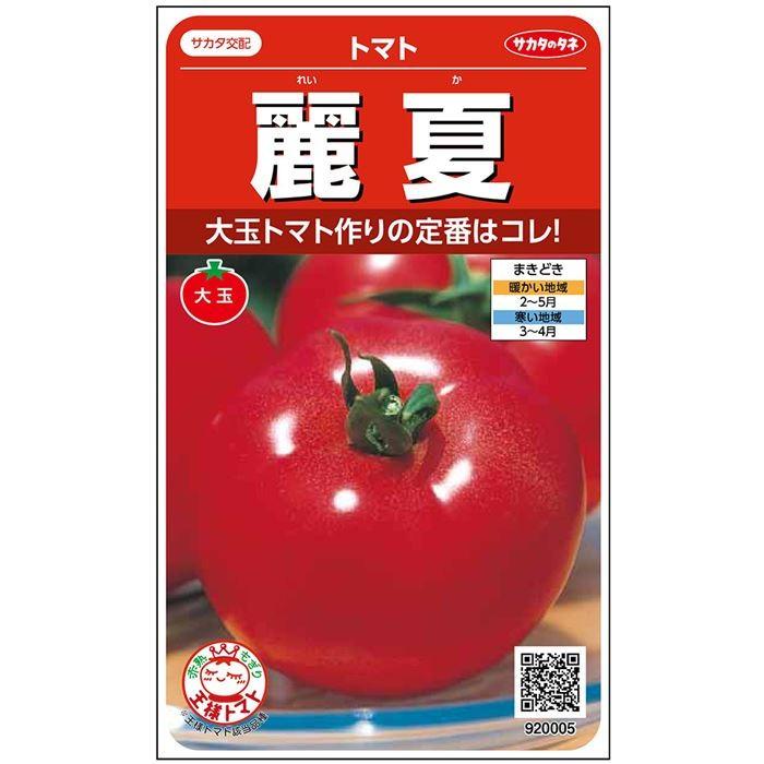 サカタ交配 トマト 麗夏 れいか 約21粒 実咲野菜 北越農事yahoo ショップ 通販 Yahoo ショッピング
