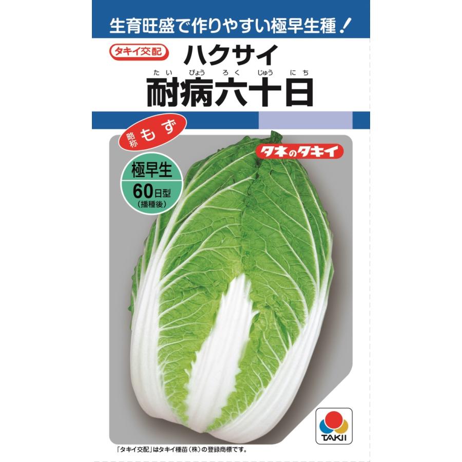 タキイ交配 白菜 ハクサイ耐病六十日 2 5ml 野菜のタネ 北越農事yahoo ショップ 通販 Yahoo ショッピング