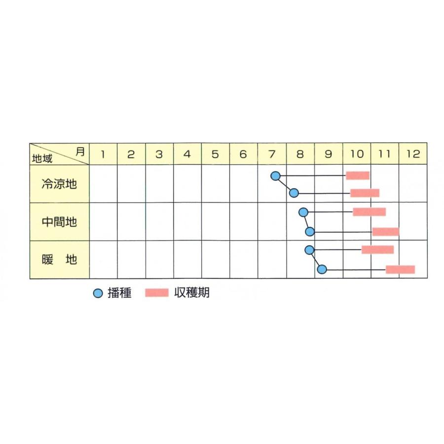 北越交配 白菜の種 早太郎 1 2ml 北越農事yahoo ショップ 通販 Yahoo ショッピング