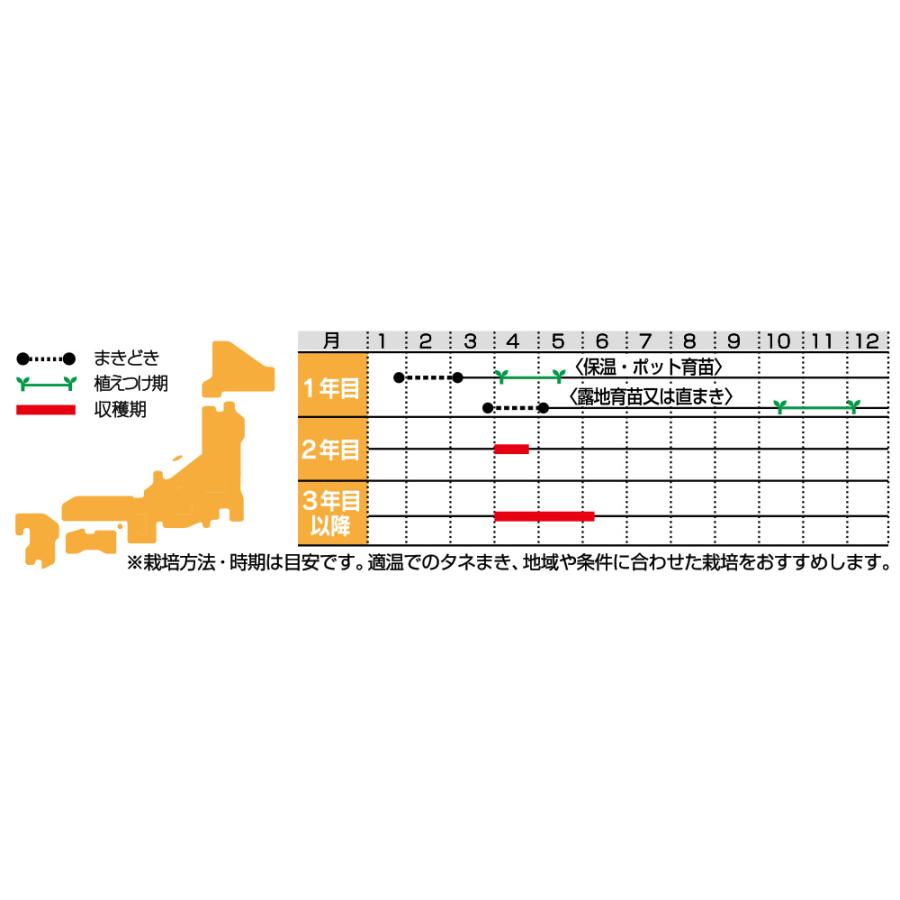 サカタのタネ アスパラガス ウェルカム 0 9ml 野菜タネ 北越農事yahoo ショップ 通販 Yahoo ショッピング