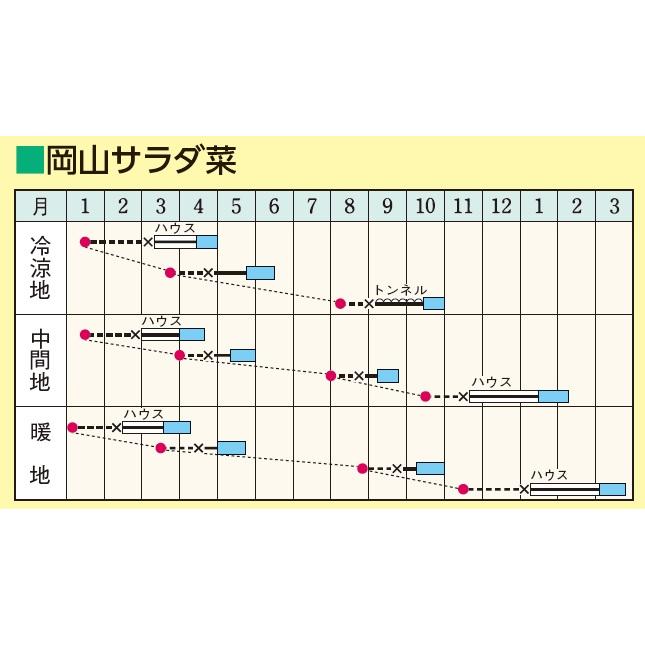 タキイ種苗 サラダ菜 岡山サラダ菜 Gf2ml 野菜種子 北越農事yahoo ショップ 通販 Yahoo ショッピング