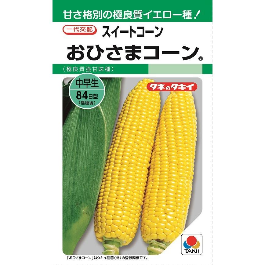 タキイ種苗 おひさまコーン Gf60粒 野菜種子 北越農事yahoo ショップ 通販 Yahoo ショッピング