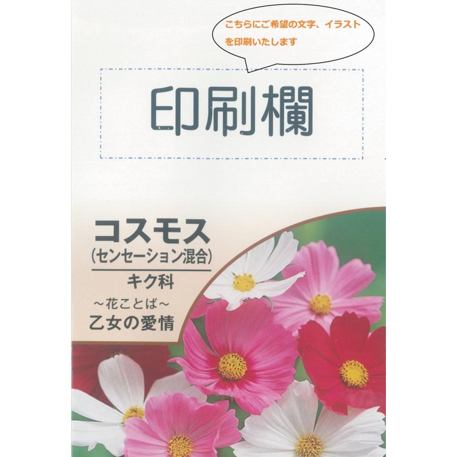 配布pr用 花のタネａ 1袋 北越農事yahoo ショップ 通販 Yahoo ショッピング