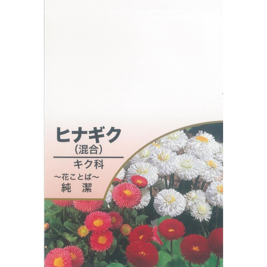 配布PR用　花のタネＢ　1袋