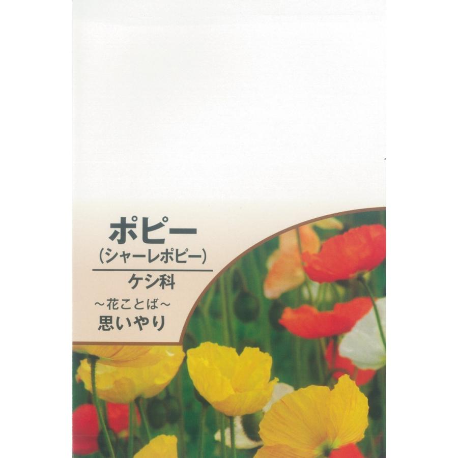配布PR用 高評価 花のタネＣ 1袋 代引き手数料無料