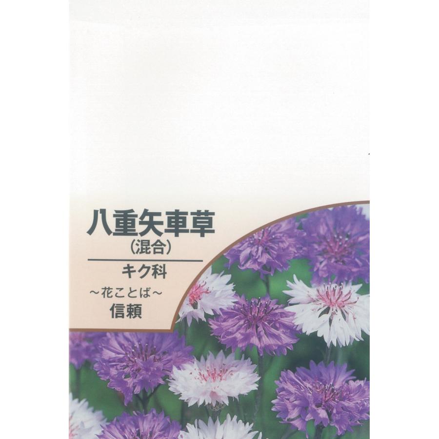 配布pr用 花のタネｄ 1袋 北越農事yahoo ショップ 通販 Yahoo ショッピング
