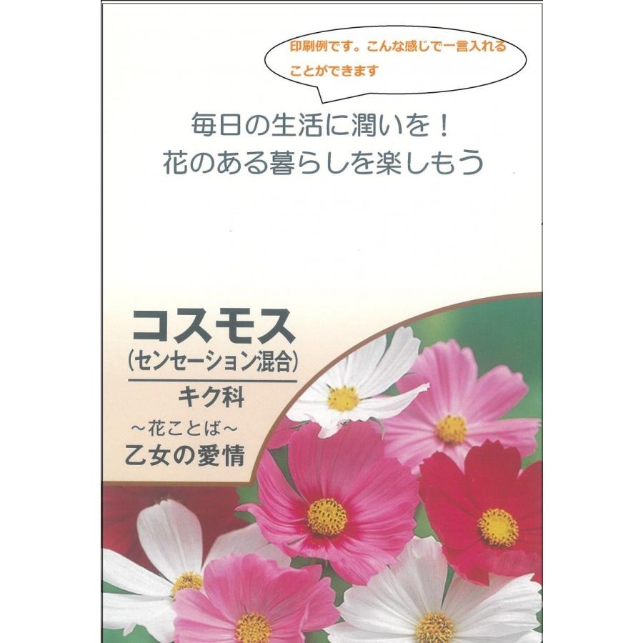 配布pr用 花のタネｅ 1袋 北越農事yahoo ショップ 通販 Yahoo ショッピング