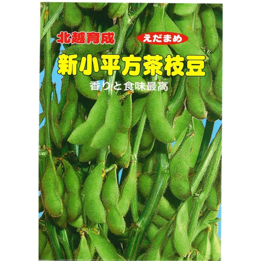 北越育成 枝豆の種 新小平方茶豆 物品 在庫限り 50ml
