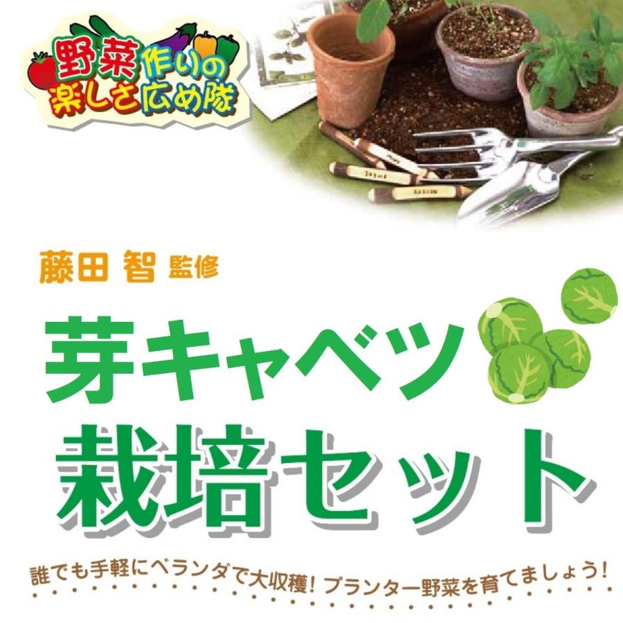 藤田智先生監修 芽キャベツ栽培セット ノーマルプランター 苗はついておりません 北越農事yahoo ショップ 通販 Yahoo ショッピング