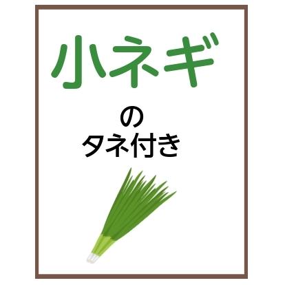 藤田智先生監修 小ネギ栽培セット ノーマルプランター タネつき 北越農事yahoo ショップ 通販 Yahoo ショッピング