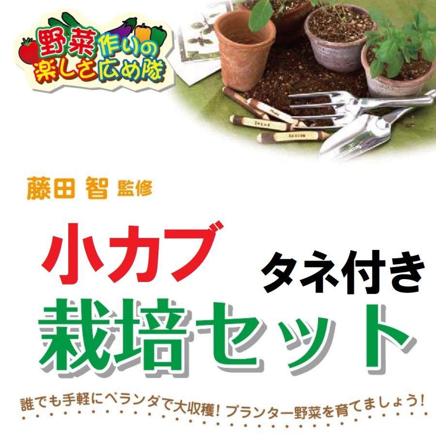 藤田智先生監修 種から栽培セット 小カブのタネつき 北越農事yahoo ショップ 通販 Yahoo ショッピング