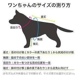 犬 服 スウェット トレーナー 小型犬 中型犬 大型犬 Mサイズ Lサイズ アメカジ Chi-bee チービー コラボ カレッジ スエット MANDARINE BROTHERS｜hokulea-onlinestore｜17