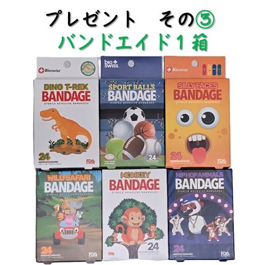 スヌーピー ハワイ 福袋 お得 福袋2026 moni 日焼けスヌーピー ピンク