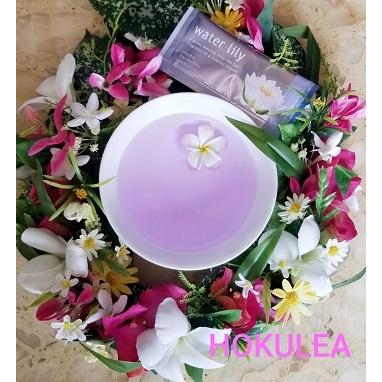 入浴剤 太陽の恵み アソート ハイビスカス プルメリア マンゴー