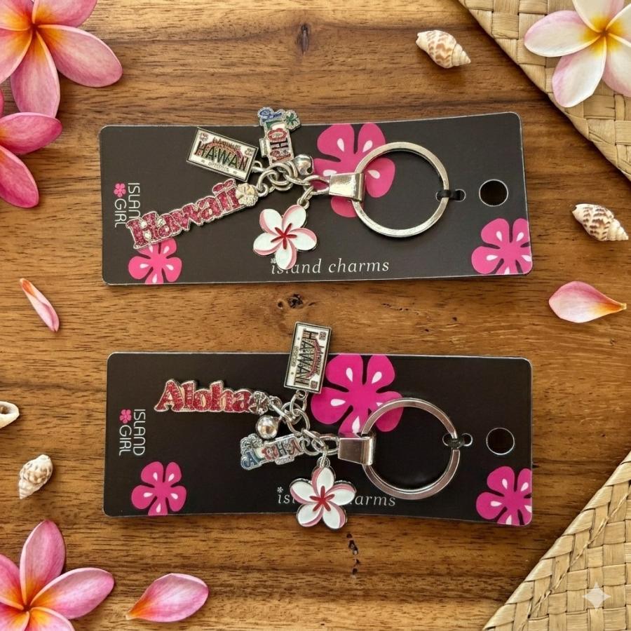 キーホルダー マルチチャーム ハワイ限定 Hawaii Aloha かわいい