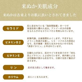みんなでみらいを（minnade miraio） 米ぬか酵素洗顔クレンジング 詰
