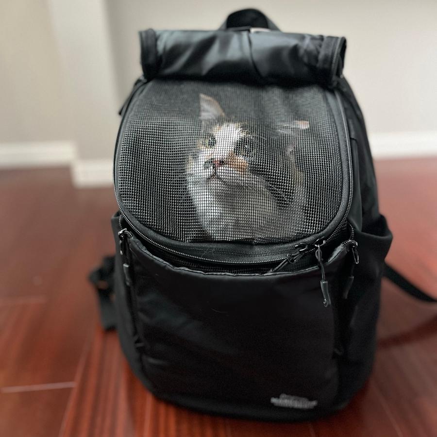 MANDARINE BROTHERS（マンダリンブラザーズ） 犬 前抱き 後ろ抱き 2WAY