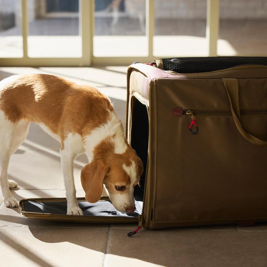 ブリクストンキャリーバックパック ワイド ※リニューアル　ブラウン　M Renewal】BRIXTON CARRY BACKPACK −WIDE−（M）ブリクストン