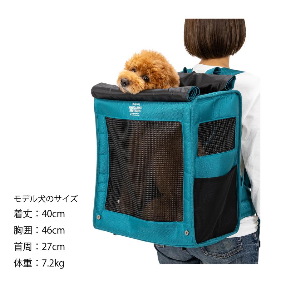 MANDARINE BROTHERS マンダリンブラザーズ BRIXTON CARRY BACKPACK