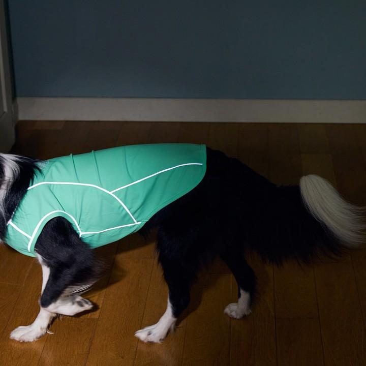 MANDARINE BROTHERS（マンダリンブラザーズ） 犬服 Reflective T-shirt
