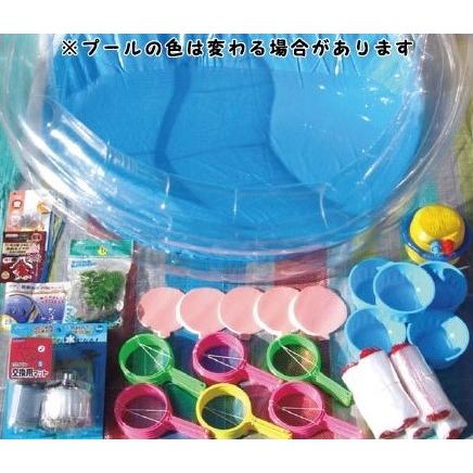 楽天市場 金魚すくい簡易セット300 500人用 模擬店 縁日 お祭り イベント 学園祭 特売 Kuljic Com