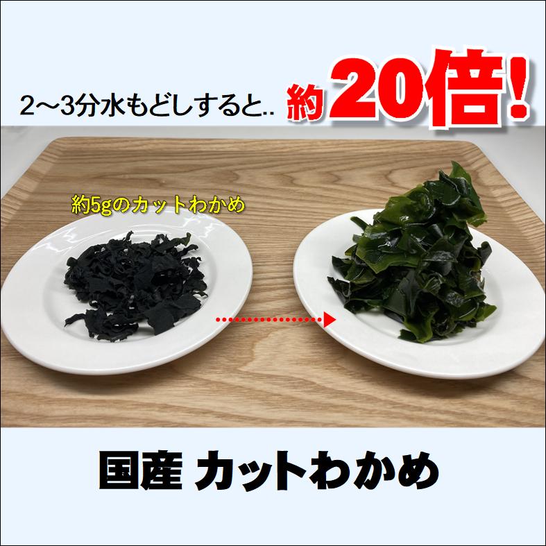 送料込み カットわかめ 20個セット 乾燥ワカメ 三陸産 国産 お味噌汁