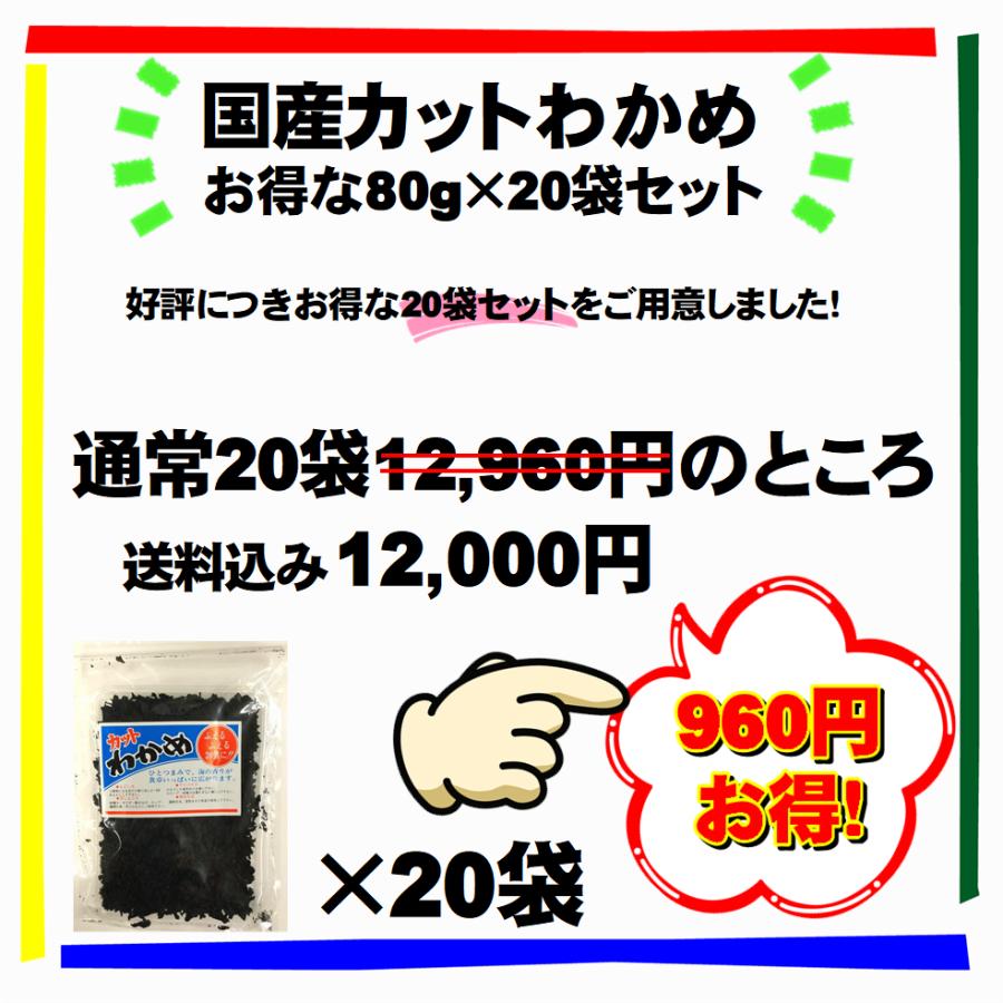 送料込み カットわかめ 20個セット 乾燥ワカメ 三陸産 国産 お味噌汁