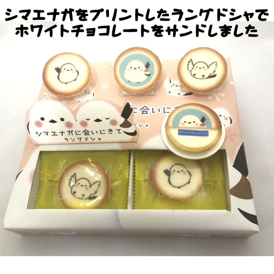 北海道 シマエナガに会いにきて チョコレートラングドシャ 10枚入 雪の妖精 |  | 01