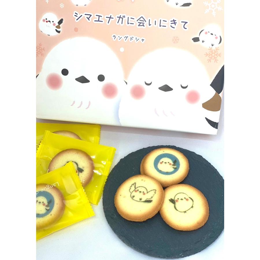 北海道 シマエナガに会いにきて チョコレートラングドシャ 10枚入 雪の妖精 |  | 03