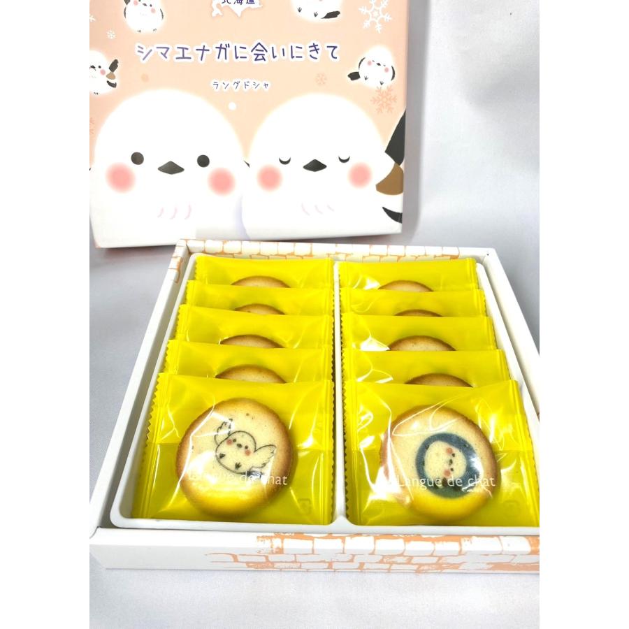 北海道 シマエナガに会いにきて チョコレートラングドシャ 10枚入 雪の妖精 |  | 04