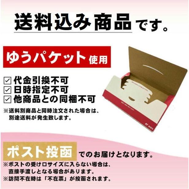 ガラク スープカレー セット チキン 豚角煮 ゆうパケット送料込み 北海道 GARAKU ポーク｜hokumin｜06