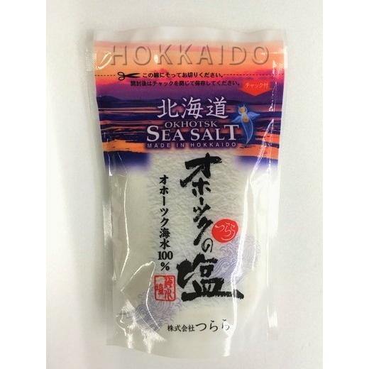オホーツクの塩 袋入100g 2個入り お試し セット 北海道 グルメ 食品