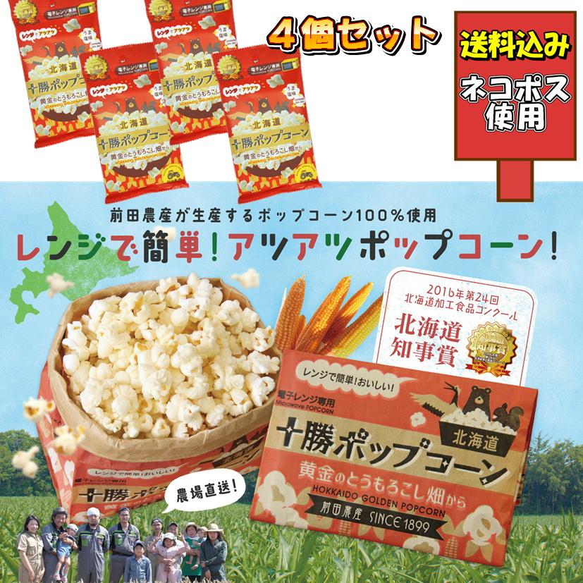 ポップコーン⭐︎2024/2025年度 佛教大学通信課程11冊セット