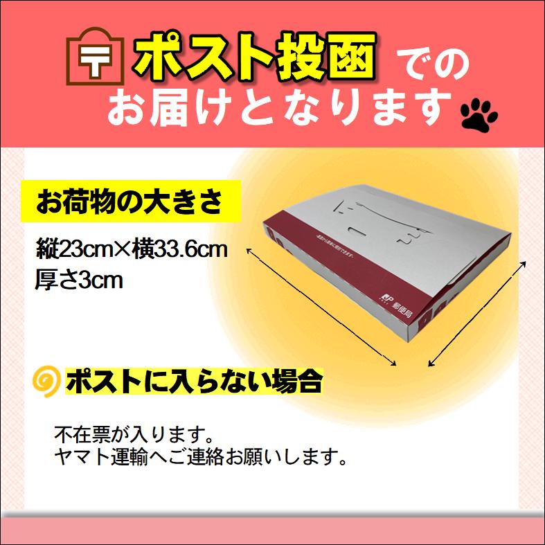 送料込み 日本一 きびだんご 5本入 天狗堂宝船 ネコポス : ほっと
