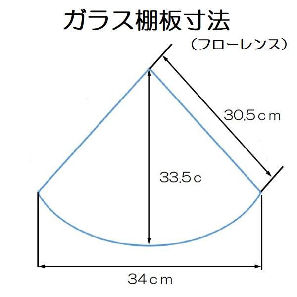 サルタレッリ フローレンス コーナーキャビネット ショーケース ガラス