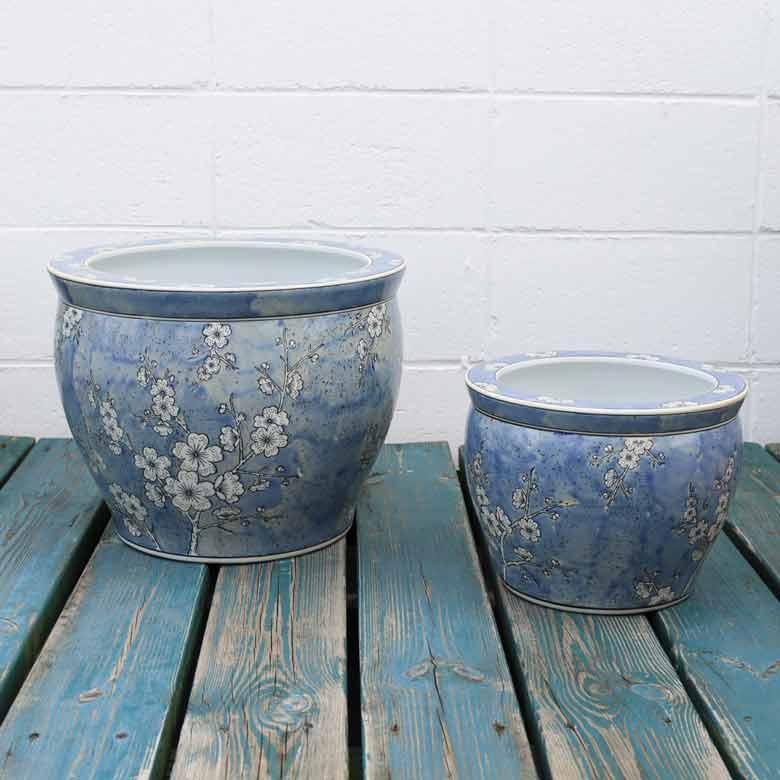 水鉢 特大 白梅 13号 睡蓮鉢 火鉢 水連鉢 和モダン ビオトープ